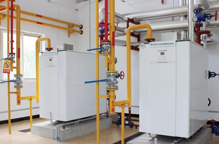 �����t��Ҫÿ�걣�B(y��ng)��